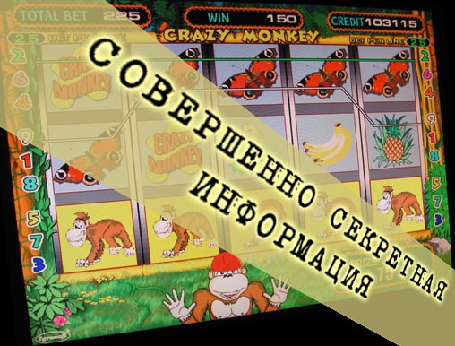 Секреты игровых автоматов Crazy Monkey Обезьяны